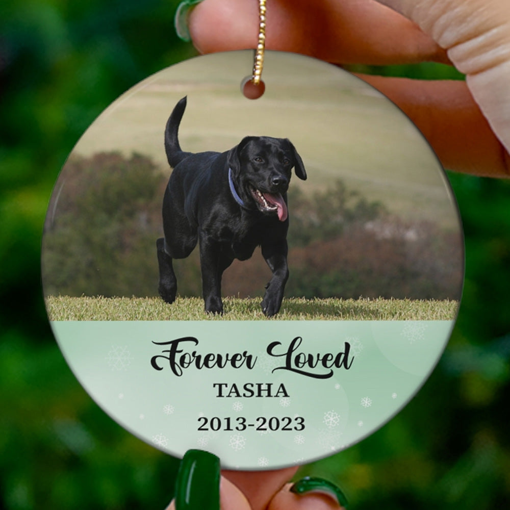 Personalized Dog Lover Forever Love Dog Memorial Bible Verse Ornament