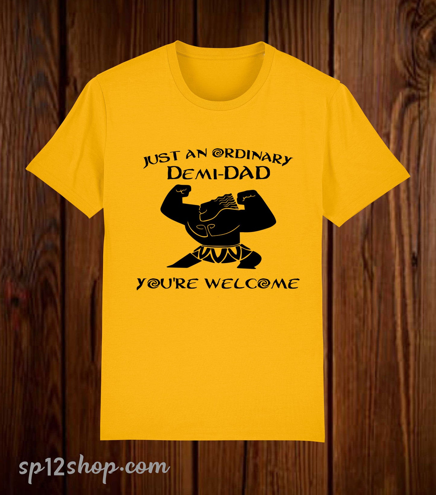 Just an Ordinary Demi-Dad You're Welcome T Shirt